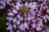 4/2_DSC0141 site.jpg